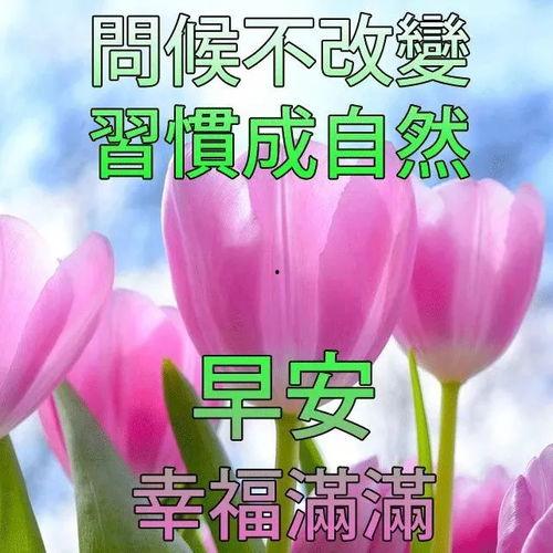 早安最新爆料图片卡通版,揭秘明星幕后趣事 第3张 早安最新爆料图片卡通版,揭秘明星幕后趣事 第3张